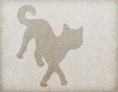 cat feline kitty cartoon