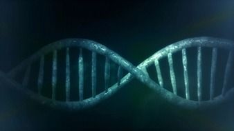 microbiology dna people structure