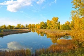 lake trees fall gold nature