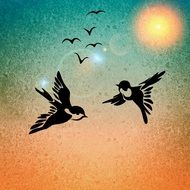 birds bird pair sunshine
