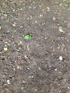 soil earth dirt texture nature