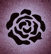 black image of s rose flower