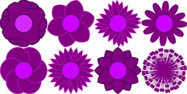 pattern flower floral bloom violet