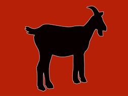 animal billy goat silhouette black