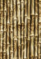 bamboo rods wallpaper