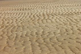 waves on the sand at the ocean coast