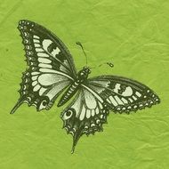 butterfly green scrapbook page