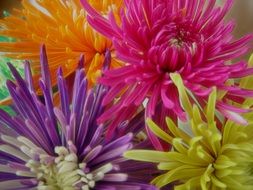 fun colorful background mums happy