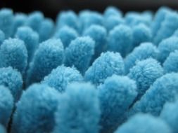 background macro blue sponge clean