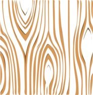 bark wood tree trunk brown white