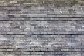 wall bricks brick texture