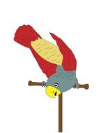 parrot bird animal pet cute