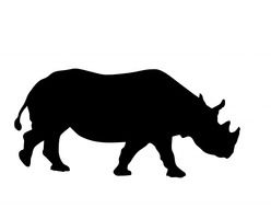 rhino animal black silhouette art