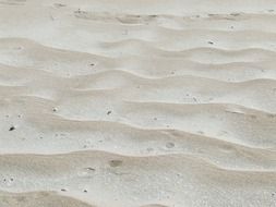 sand beach desert texture white