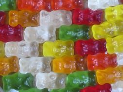 gummib C3 A4rchen gummi bears colorful