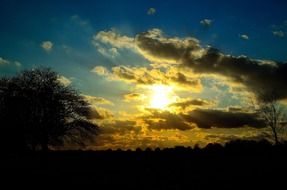 blue evening clouds sun sky tree