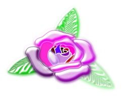 drawn purple rose