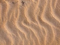 sand beach ripples pattern texture