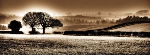 brown color landscape nature tree yorkshire field