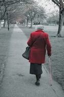 walking old people coat age park