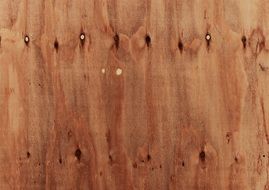 wooden sheet as background