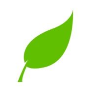 leaf green environment natural