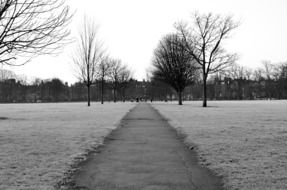 hoarfrost hairiness season winter