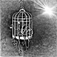 background with a plant in the bird cage