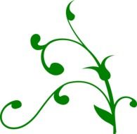 vine swirl green nature floral