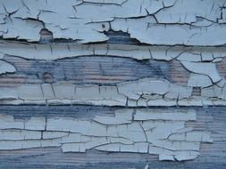 wood color texture old weathered