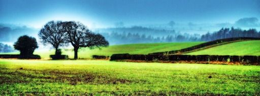 colored landscape north nature tree yorkshire field