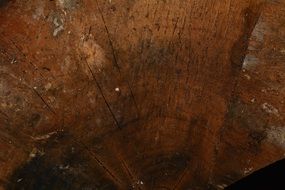 wood structure grain texture