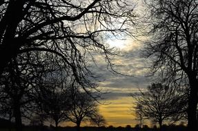 clouds nature sun sky tree sunset