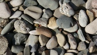 stone garden meditation zen