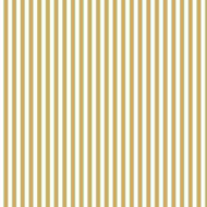 background striped png