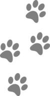 footprints animal dog paw cat