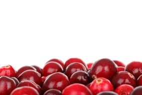 ripe ruby cranberries