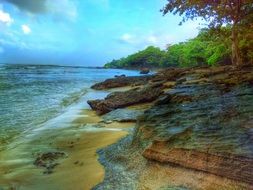 beach coast sea rocks background