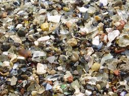 shells pebbles beach stones