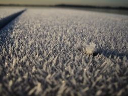 frost white winter frozen ice