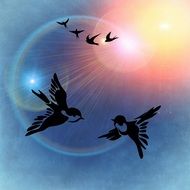 small birds in the sunny sky