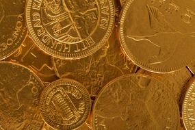 golden treasure finance business