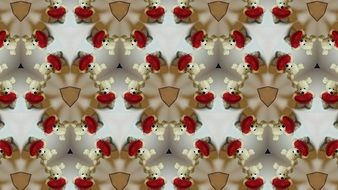background valentine s day bear