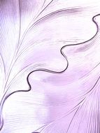 violet crystal structure