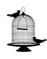 bird birds cage birdcage black