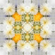 background with seamless symmetrical flowers