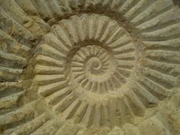 spiral stone sculpture relief