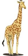 giraffe tall spots long neck tail