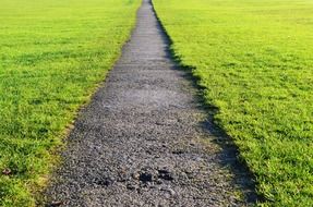 path lawn green sidewalk park