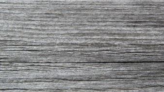grey old wood texture